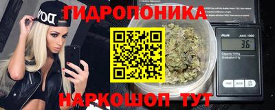 прущие крисы Лесосибирск