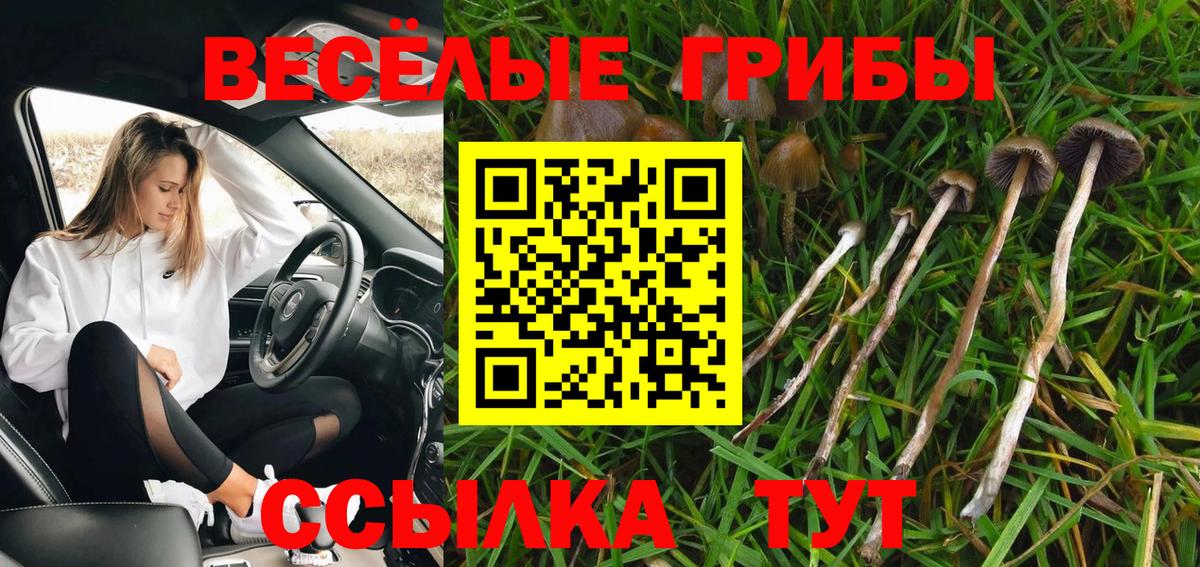 Галлюциногенные грибы MAGIC MUSHROOMS Ивантеевка