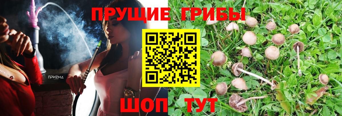 наркошоп  Галлюциногенные грибы прущие грибы  Псилоцибиновые грибы прущие грибы  Вход с VPN  Ивантеевка 